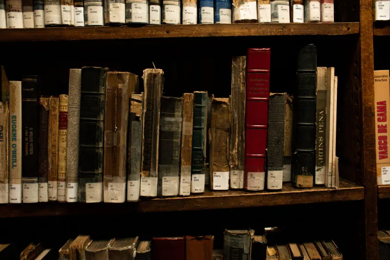 Dust and Discovery: The Quiet Crusade to Rescue America's Lost Poems from Oblivion